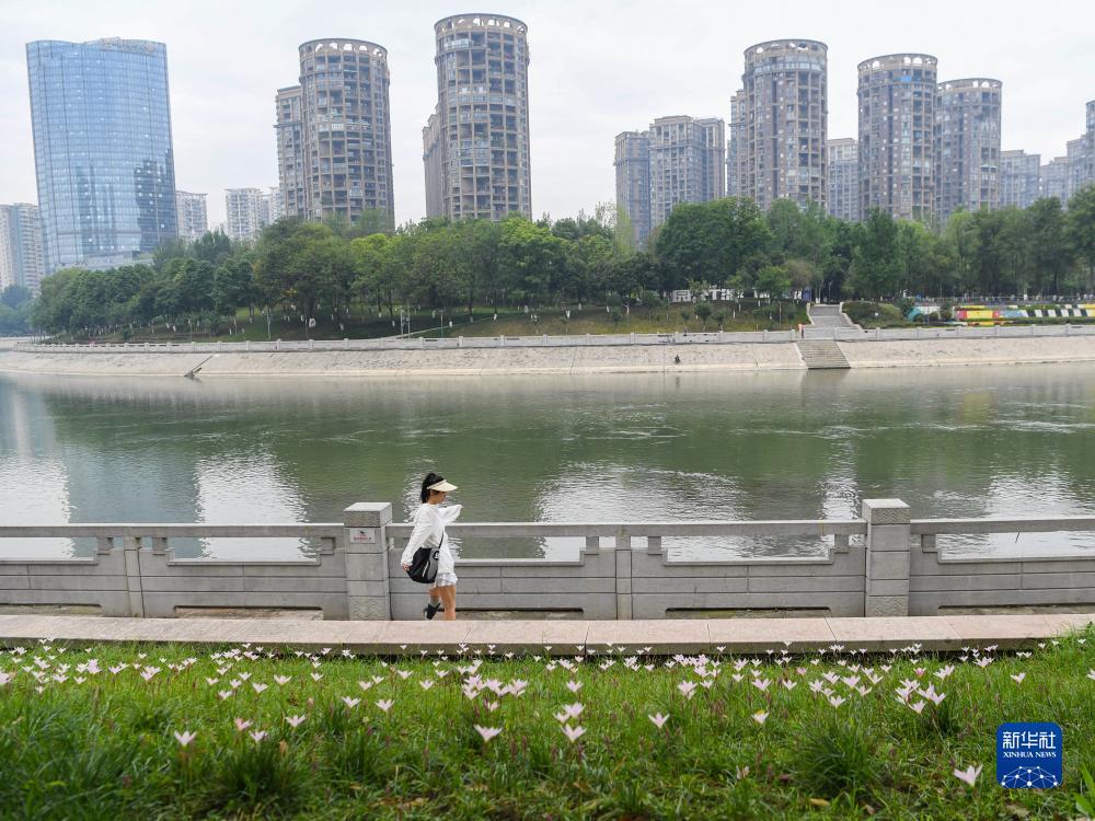 炸三张金花游戏下载可提现